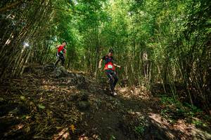 BIB: 
                            <button type="button" onclick="openModal(25095480)" class="btn btn-primary btn-sm float-right btn-popup" data-toggle="modal" data-target=".modal-high-quality">
                        <i class="fas fa-shopping-cart"></i> Add to Cart
                    </button>
                                            <button type="button" onclick="isThisMe(25095480, true)" class="btn btn-success btn-sm float-right btn-popup btn-isme hidden" data-toggle="tooltip" data-placement="bottom" title="นี่คือรูปของคุณใช่ไหม คลิกที่นี่เพื่อเอาเข้าอัลบั้ม">
                        <i class="fas fa-plus"></i> Add to album
                    </button>
                    <button type="button" onclick="isThisMe(25095480, false)" class="btn btn-warning btn-sm float-right btn-popup btn-isnotme hidden">
                        <i class="fas fa-ban"></i> Remove from album
                    </button>